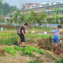 망경초등학교 이미지