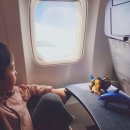 차와 함께 일상으로의 여행 이미지