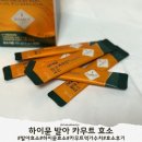 발아 | 하이뮨 발아 카무트 효소 소화 효소 발아공법 효소후기
