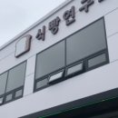 식빵연구소