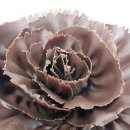 제과제빵기능사(야간) 이미지