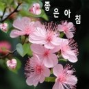 행복한하루 이미지