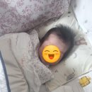 수출대로-22 | 대구 동구 산후도우미 아기 케어·식사·청소까지 모두 만족 후기!