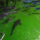 123실내낚시터 이미지