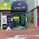 힐링 펫 카페 이미지