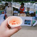 구좌친환경당근영농조합법인 이미지