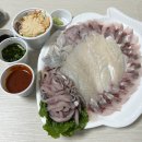 [대포항맛집] 속초 대포항횟집 대포항회포장 전문 | 선복호활어