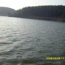 고복마트 이미지