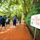 계족산 황톳길 이미지