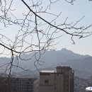 서리풀공원1-30 이미지