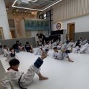 한국체대 국가대표 태권도 이미지