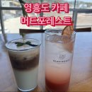 머드포레스트 | 영흥도 카페 | 머드포레스트 방문 후기, 주변 가볼만한 곳