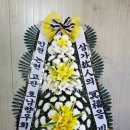 논현메디칼정형외과의원 네이버블로그