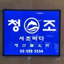 서초바다 청조 이미지