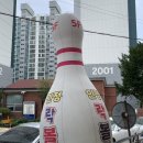 인정프린스(아) 이미지