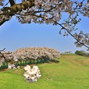 일구목장 이미지