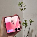 시한 | 갤럭시 z플립7 코랄레드 구매 후기, 쥬시한 색감 실물 미쳤다 (색상 사진 多)