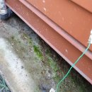 준오토밋션 이미지