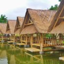 사리농장 이미지