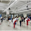 세정태권도 이미지