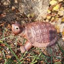 수맥과 풍수 이미지