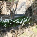 산울림트래킹