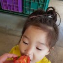 다빈농장 이미지