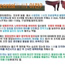 태반프라자