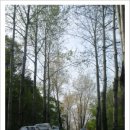 원동목장 이미지