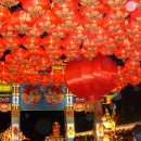 일산 빛의 축제 이미지