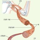 피트니스H PT 헬스 이미지