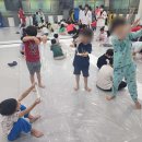 용인대 미르 태권도 네이버블로그