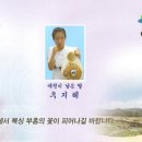 세계 복싱 체육관 이미지