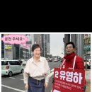 공화당은 박근혜를 구해내기 위해 달서갑에 조원진을 이미지