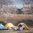 누룽지야영장 | 청도 운문댐 하류보 야영장 경북 노지캠핑 명소에서 벚꽃캠핑