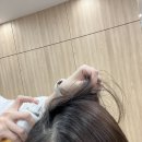 더민헤어수영 이미지