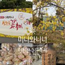 강정마을 의례회관 | 2026 이천 산수유축제 일정 셔틀 주차 아이랑 가볼만한 곳 후기