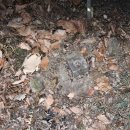 부림한방병원 이미지