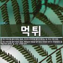 먹튀 이미지