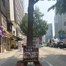 전국5대짬뽕 회현역 명가교동짬뽕 혼밥 내돈내산 후기