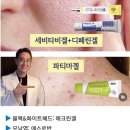 대청파크 네이버블로그