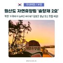 보령 원산도 자연휴양림 솔향채 2호, 직접 가보니 충남 최고 바다 휴양림 예감