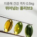 대해웰빙마트 | [디돌 추천 영양제 올록담 올리브 오일 내돈내산 후기 🫒] 효능 부작용 공복 레몬즙🍋 혈당 관리 꿀팁✍️