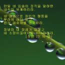 둘자네 이미지