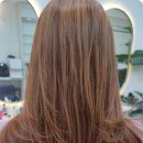 닛시헤어 이미지