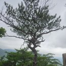충북단양 황정산,도락산(100대명산) 이미지