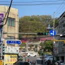 선사유적공원 | 부천 철쭉 공원 동산 고강선사유적공원 겹벚꽃 데이트 장소(주차장 정보)