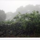 제주하늘지기 이미지