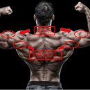 비타민휘트니스 13호점 이미지