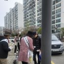 상록수